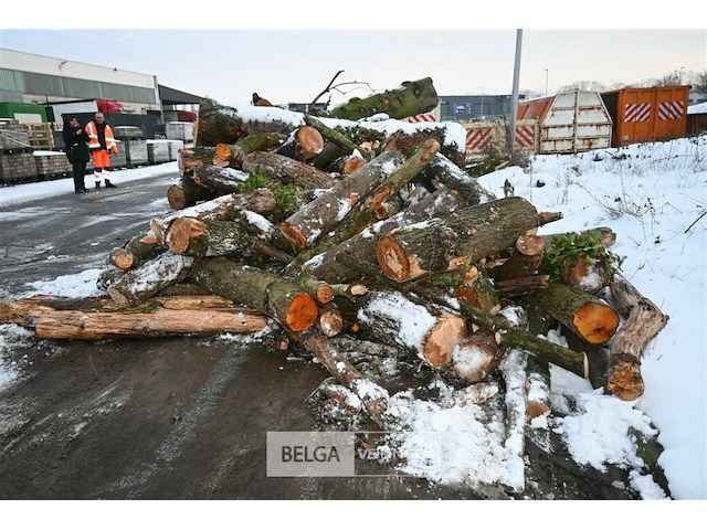 Partij brandhout - afbeelding 7 van  7