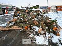 Partij brandhout - afbeelding 7 van  7