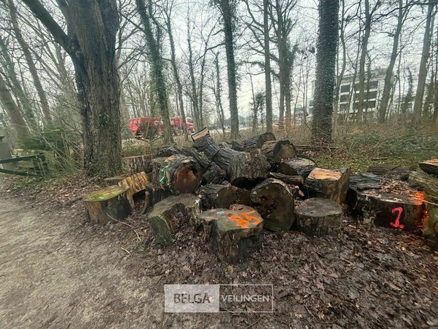 Partij brandhout - afbeelding 1 van  4