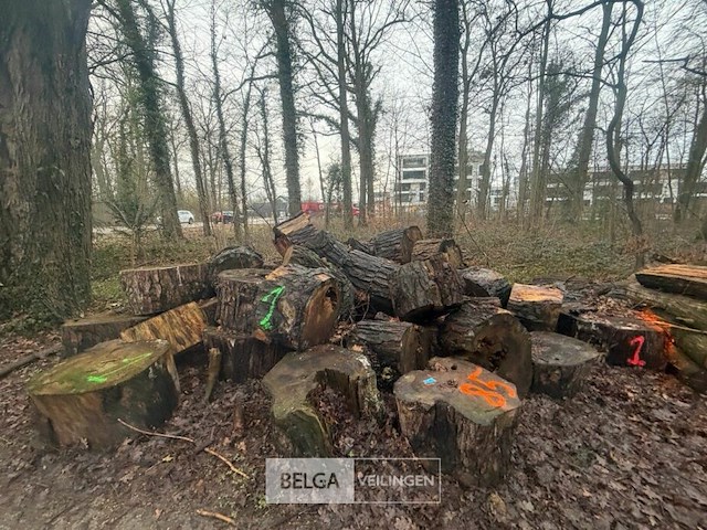 Partij brandhout - afbeelding 3 van  4