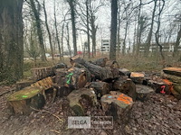 Partij brandhout - afbeelding 3 van  4