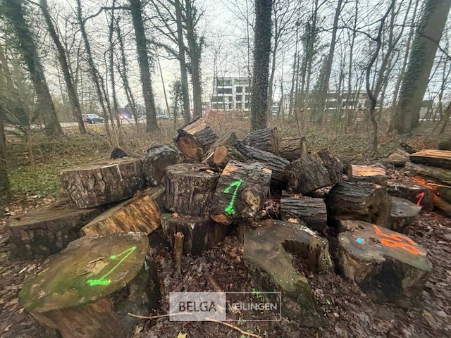 Partij brandhout - afbeelding 4 van  4