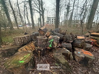 Partij brandhout - afbeelding 4 van  4