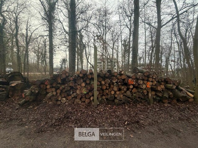 Partij brandhout - afbeelding 1 van  2