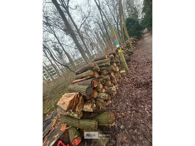 Partij brandhout - afbeelding 2 van  2