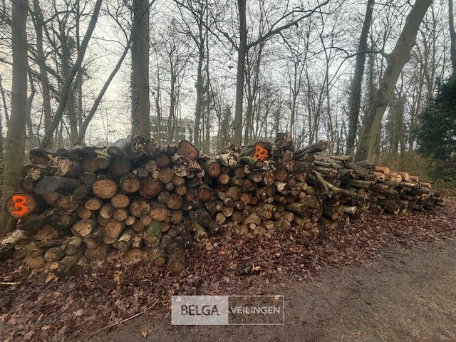 Partij brandhout - afbeelding 1 van  2