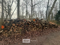 Partij brandhout - afbeelding 1 van  2