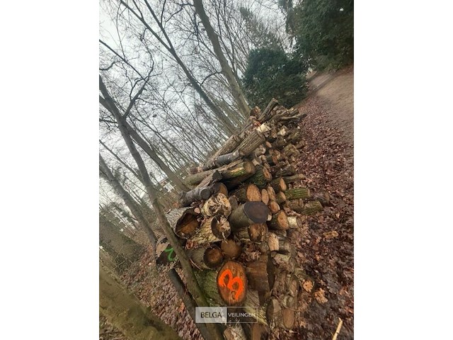 Partij brandhout - afbeelding 2 van  2
