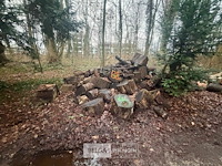 Partij brandhout - afbeelding 1 van  2