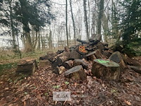 Partij brandhout - afbeelding 2 van  2