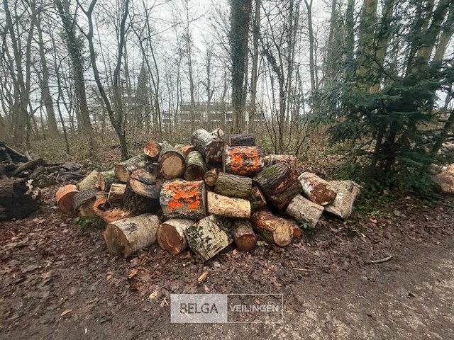 Partij brandhout - afbeelding 1 van  2
