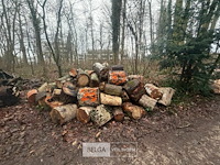 Partij brandhout - afbeelding 1 van  2