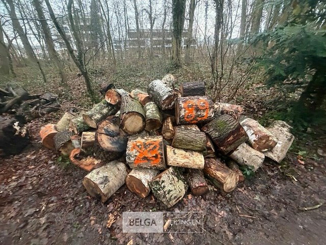 Partij brandhout - afbeelding 2 van  2