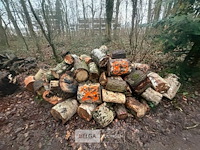 Partij brandhout - afbeelding 2 van  2