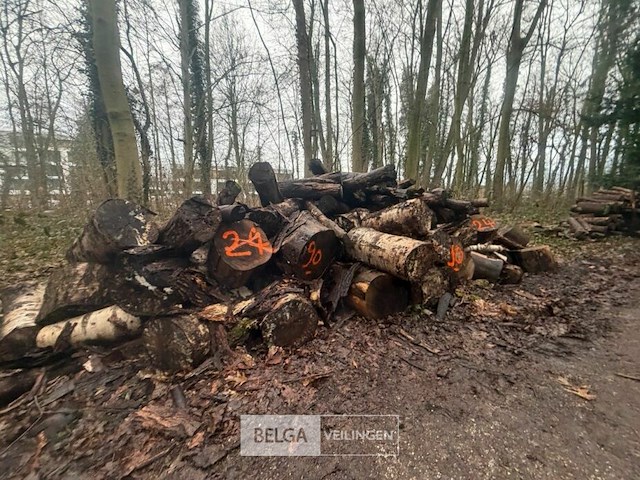 Partij brandhout - afbeelding 1 van  3