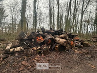 Partij brandhout - afbeelding 2 van  3