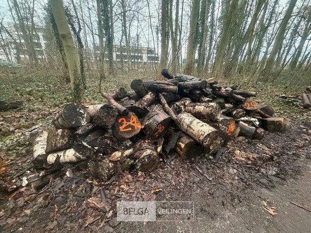 Partij brandhout - afbeelding 3 van  3