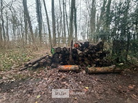 Partij brandhout - afbeelding 1 van  3