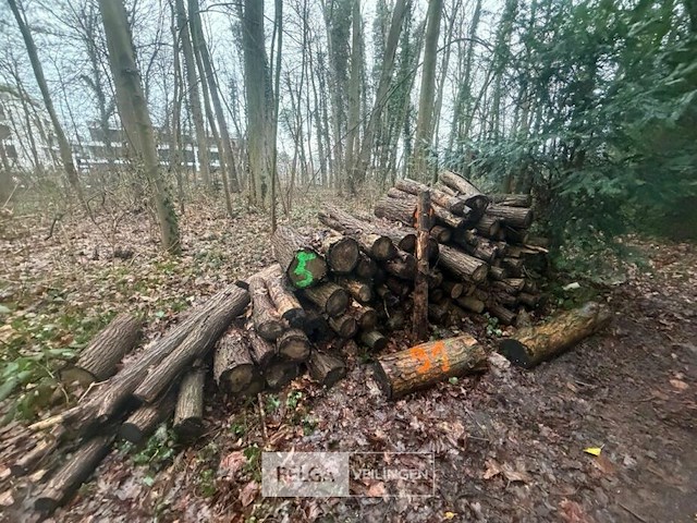 Partij brandhout - afbeelding 2 van  3