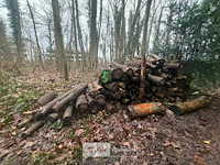 Partij brandhout - afbeelding 3 van  3