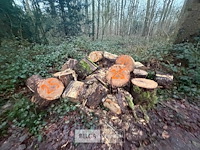 Partij brandhout - afbeelding 2 van  2