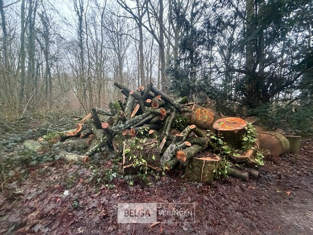 Partij brandhout - afbeelding 1 van  3