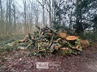 Partij brandhout - afbeelding 1 van  3