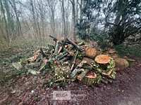 Partij brandhout - afbeelding 2 van  3