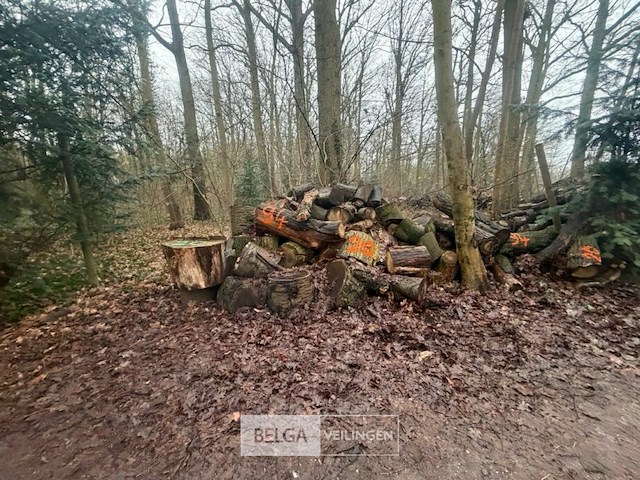 Partij brandhout - afbeelding 1 van  4