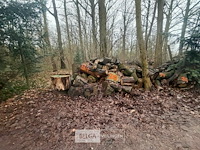 Partij brandhout - afbeelding 1 van  4