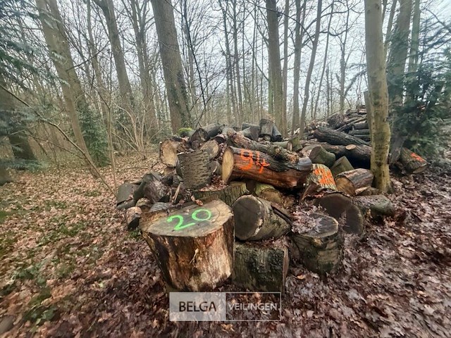 Partij brandhout - afbeelding 2 van  4