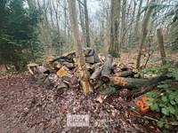 Partij brandhout - afbeelding 4 van  4