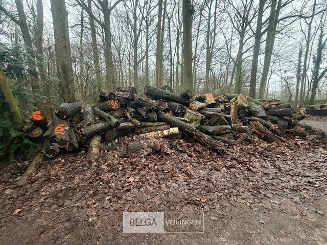 Partij brandhout - afbeelding 1 van  4