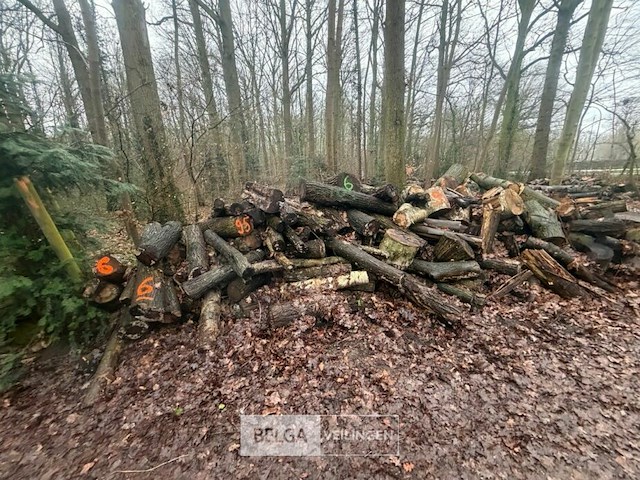 Partij brandhout - afbeelding 2 van  4