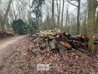 Partij brandhout - afbeelding 3 van  4