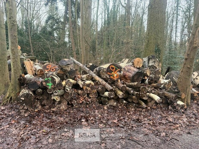 Partij brandhout - afbeelding 1 van  4