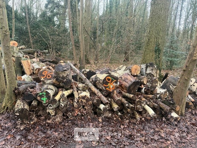 Partij brandhout - afbeelding 2 van  4