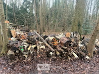 Partij brandhout - afbeelding 2 van  4