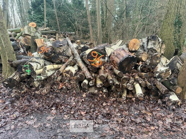 Partij brandhout - afbeelding 3 van  4