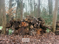 Partij brandhout - afbeelding 2 van  2