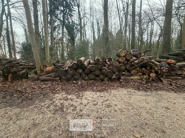 Partij brandhout - afbeelding 1 van  3