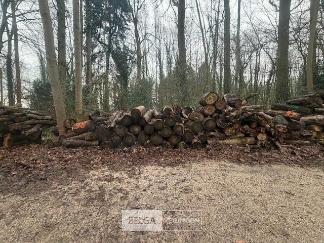 Partij brandhout - afbeelding 2 van  3