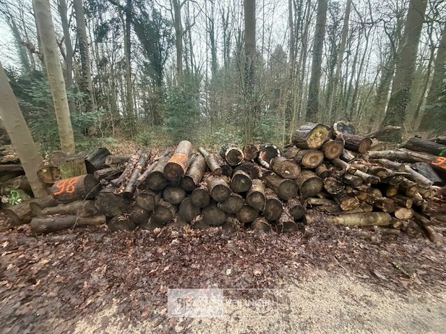Partij brandhout - afbeelding 3 van  3