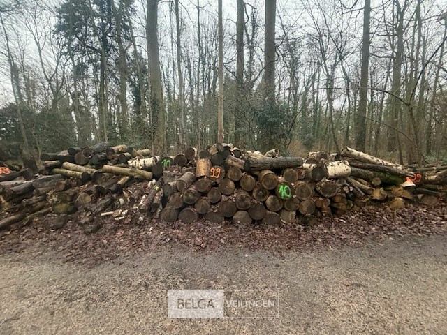 Partij brandhout - afbeelding 1 van  4