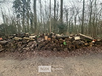 Partij brandhout - afbeelding 1 van  4