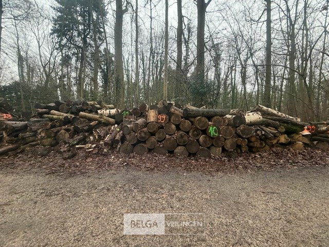 Partij brandhout - afbeelding 2 van  4