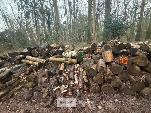 Partij brandhout - afbeelding 3 van  4