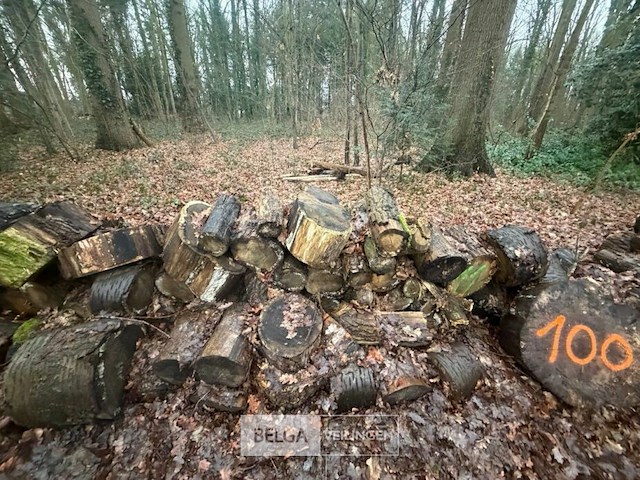 Partij brandhout - afbeelding 3 van  3