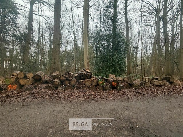 Partij brandhout - afbeelding 1 van  3