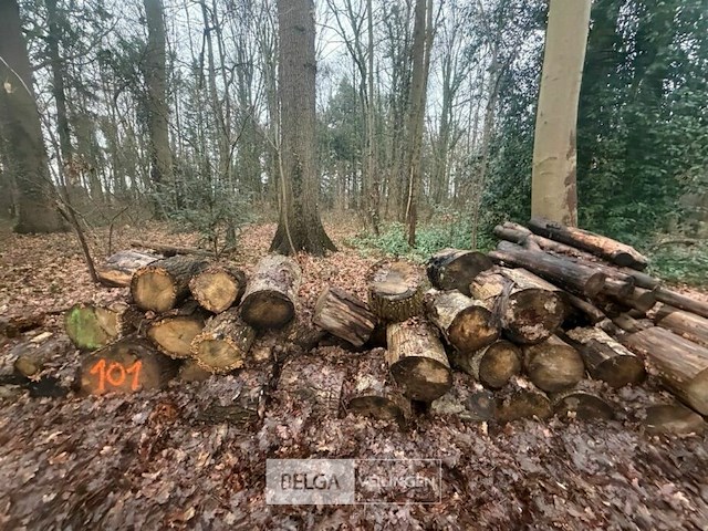 Partij brandhout - afbeelding 2 van  3